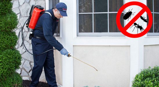 Ağlasun Böcek ve Haşere İlaçlama böcek ilaçlama ve haşere kontrolü — ilaclama-tr.com